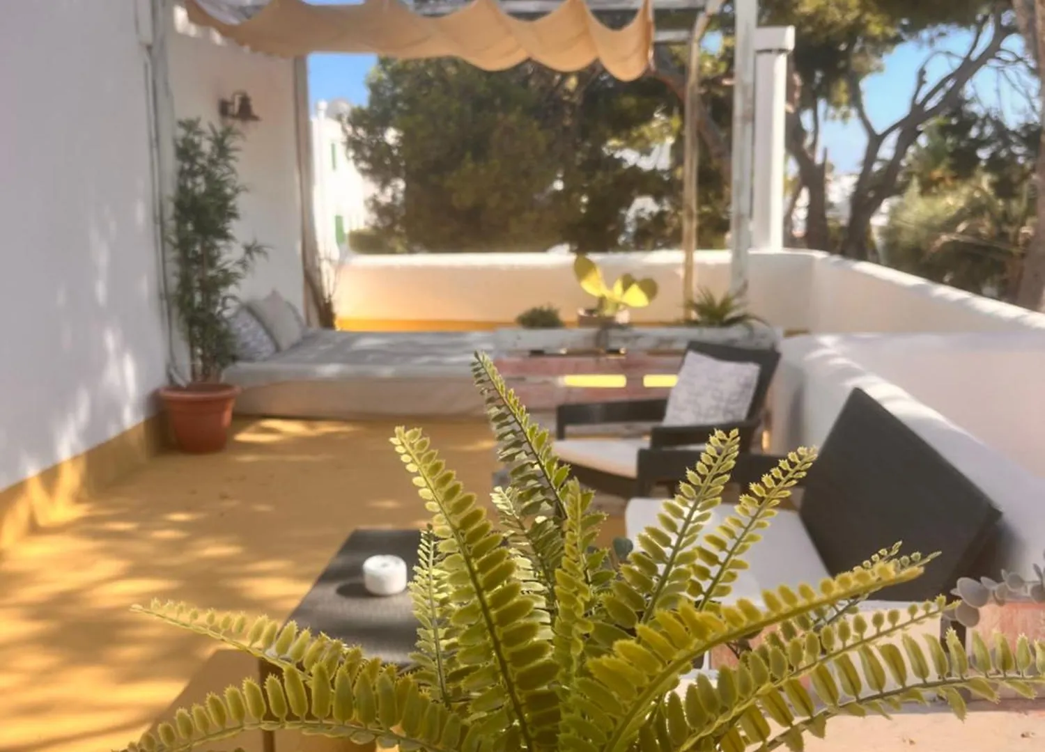 Hotel Casa Ceiba Maria à Cala D´Or Espagne