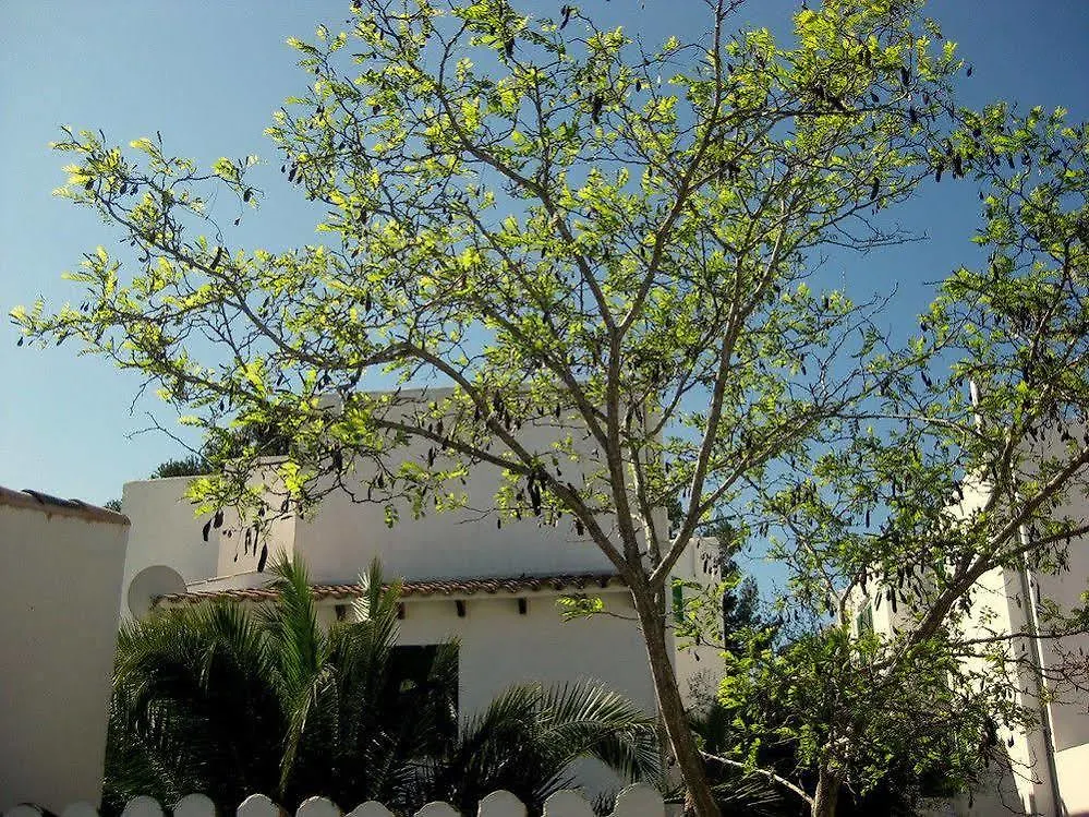 Casa Ceiba Maria Hotel Cala D´Or